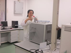 公共技術(shù)服務(wù)中心人員隊伍建設(shè) 以技術(shù)開發(fā)為核心驅(qū)動